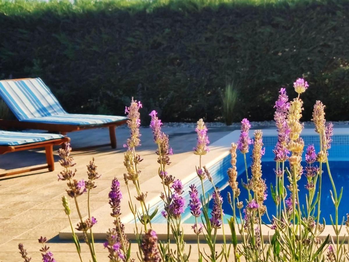 Villa *****pool House With Beautiful Seaview,big Garden And Old Tavern*****